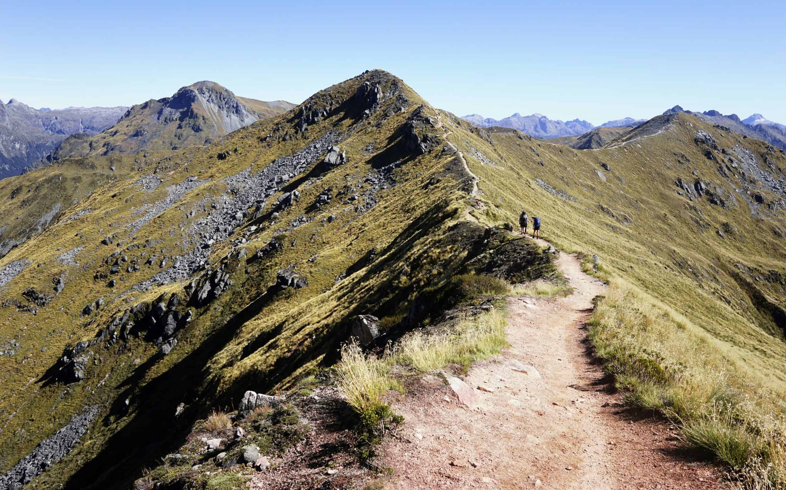 Two people walking on the Kepler Track in Te Anau
